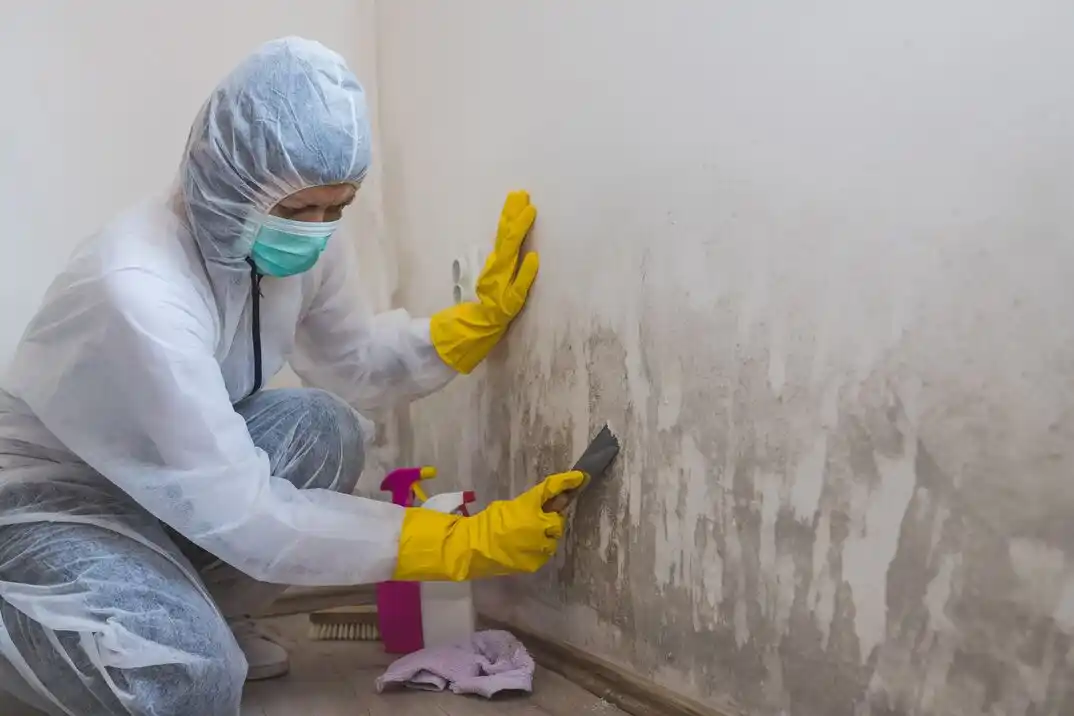 water damage restoration service South Gateway
